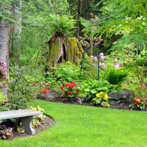 Inishowen Co Op are Hiring Garden Centre Manager - Buncrana
